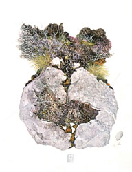 artcite3 pt